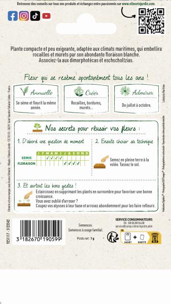 Fleurs - Alysse Corbeille d'Argent - MEDIA_PACKAGING_VERSO